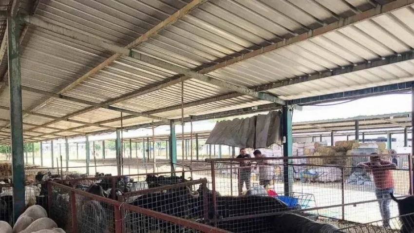 ankara kurban kesim yerleri