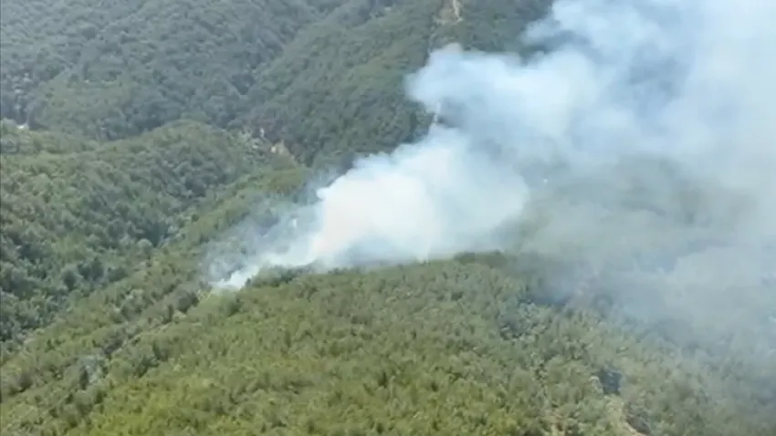 Antalya’da peş peşe orman yangını: İki ayrı ilçede dumanlar yükseldi haberinin görseli