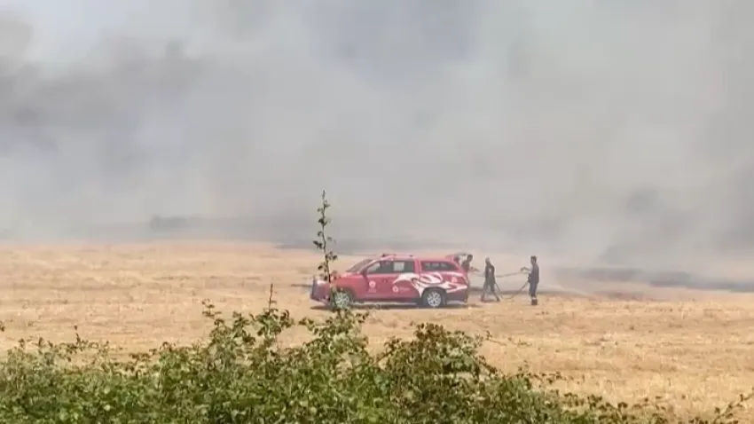 Antalya korkutan yangın: Tahliye başladı haberinin görseli