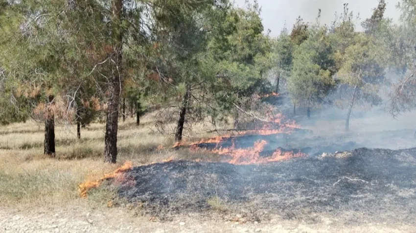 Denizli orman yangını! haberinin görseli