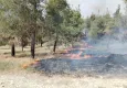 Denizli orman yangını!