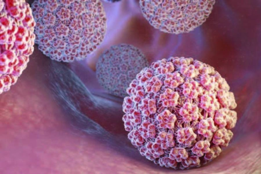 Gürdal Yılmaz: Son dönemde gençlerde çok sık HPV virüs enfeksiyonları görülüyor haberinin görseli