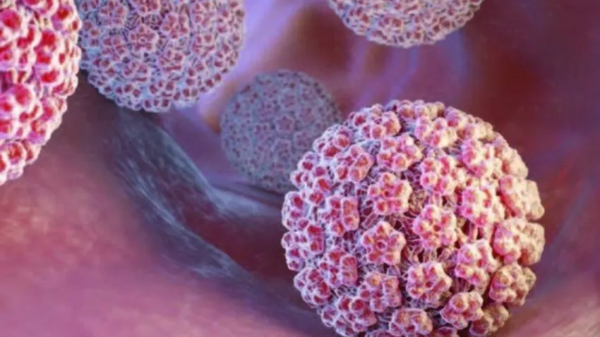 Gürdal Yılmaz: Son dönemde gençlerde çok sık HPV virüs enfeksiyonları görülüyor haberinin görseli