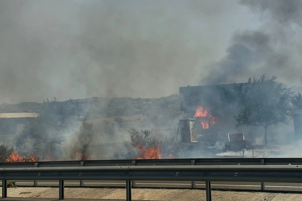 İzmir'de haber: Seferihisar'da yangın haberinin görseli