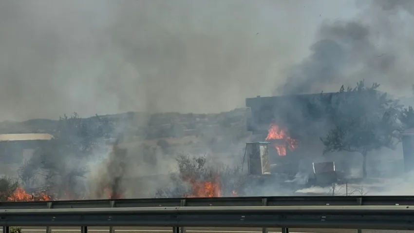 İzmir'de haber: Seferihisar'da yangın