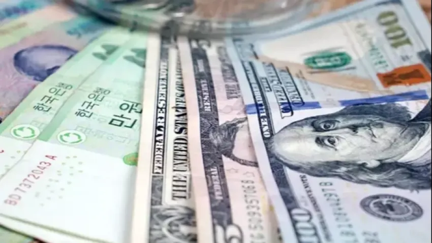 Net döviz rezervi nedir? Net döviz rezervinde son durum ne?