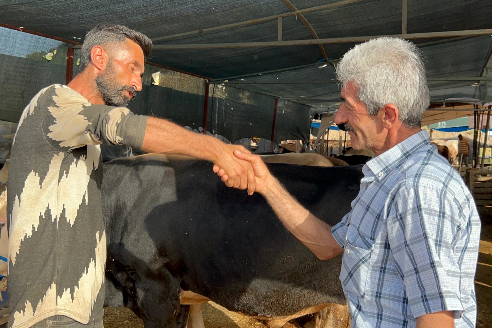 1 ton 50 kiloluk ‘Baron' İzmir'de satıldı