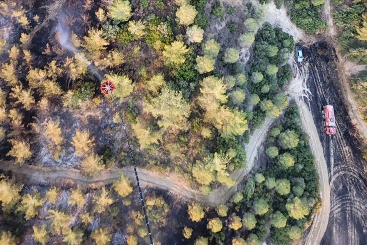 Adana'da ormanlık alanda yangın haberinin görseli