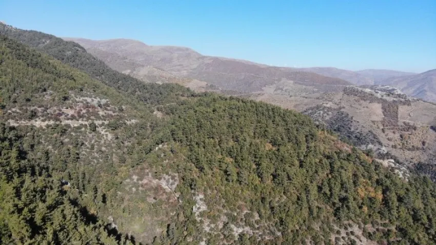 Aydın Dağları