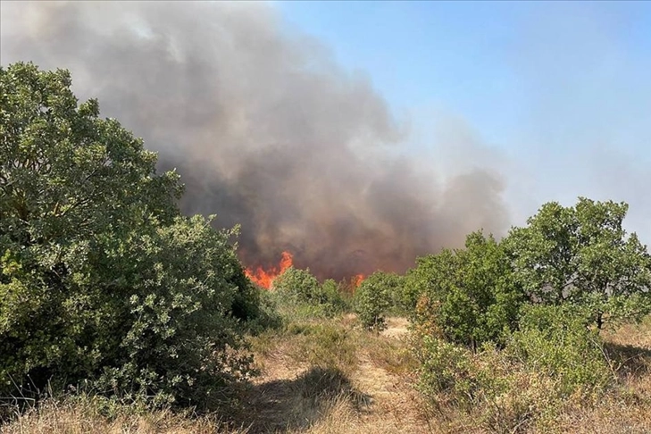 Çanakkale'de ormanlık alanda yangın! haberinin görseli