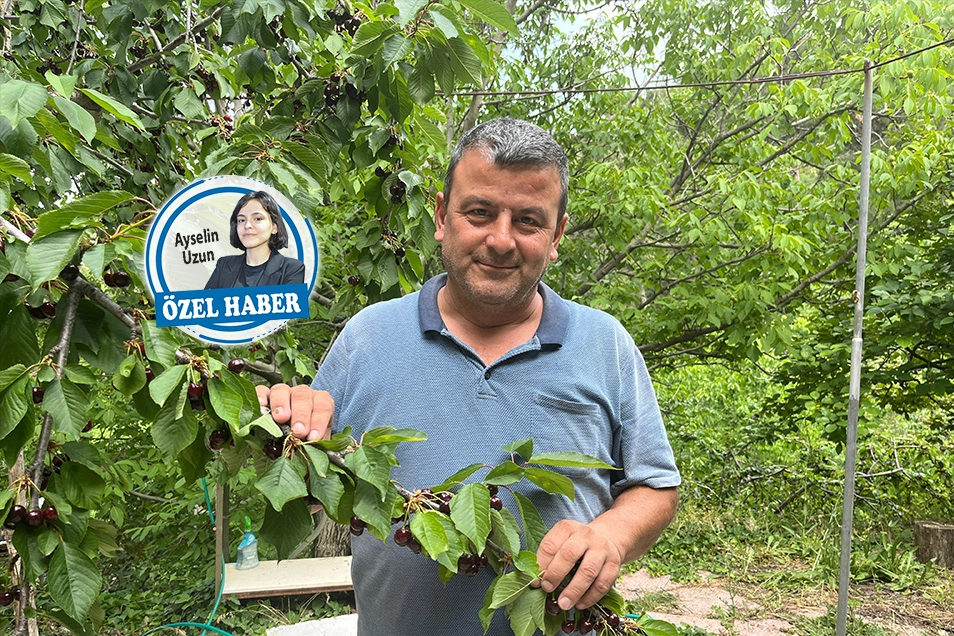 Çiftçiler ses yükseltti: Belediye sözünü tutsun