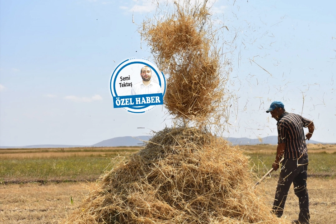 Gelecek sene üretici buğday üretemeyecek