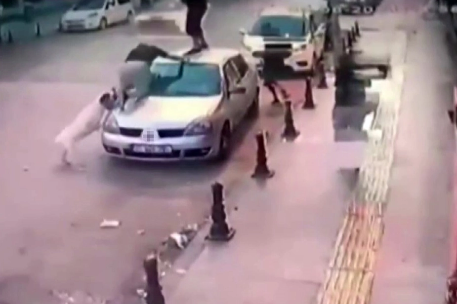 Gençler, köpek saldırısından aracın üzerine çıkarak kurtuldu haberinin görseli