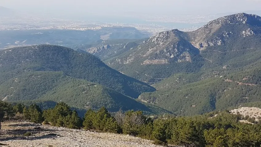 nif dağı