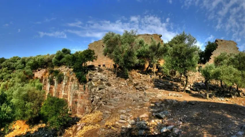 nif dağı