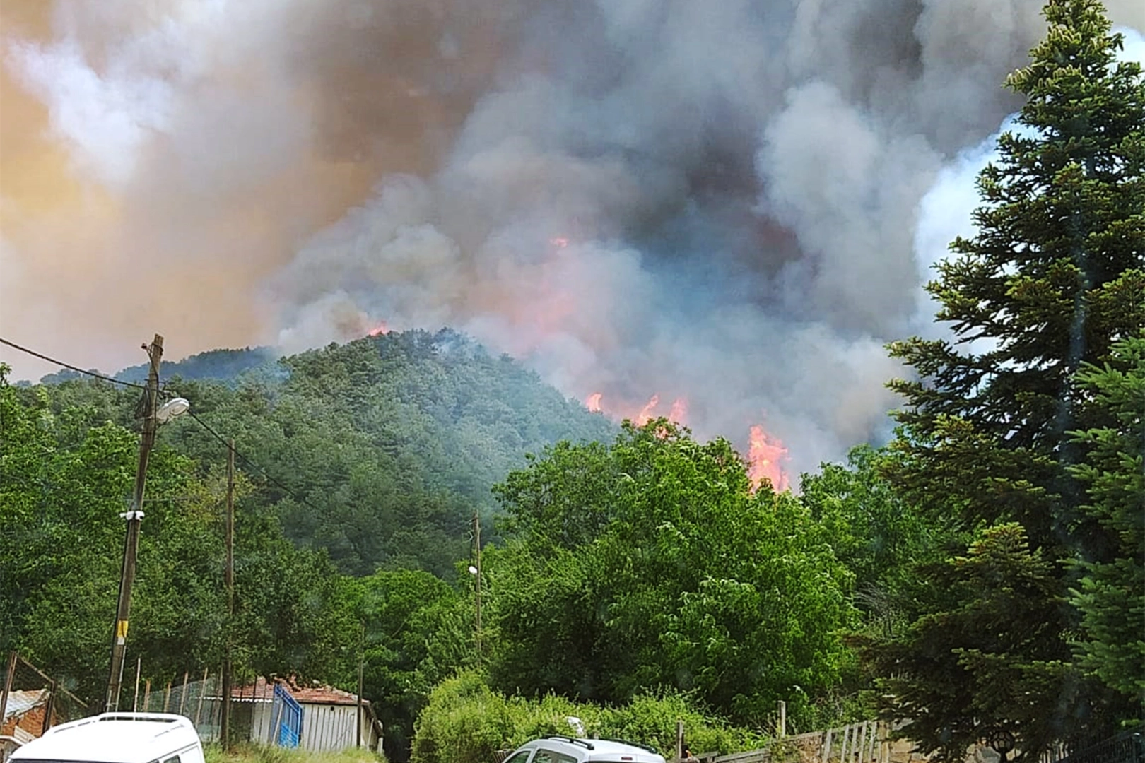 Muğla'da ormanlık alanda yangın