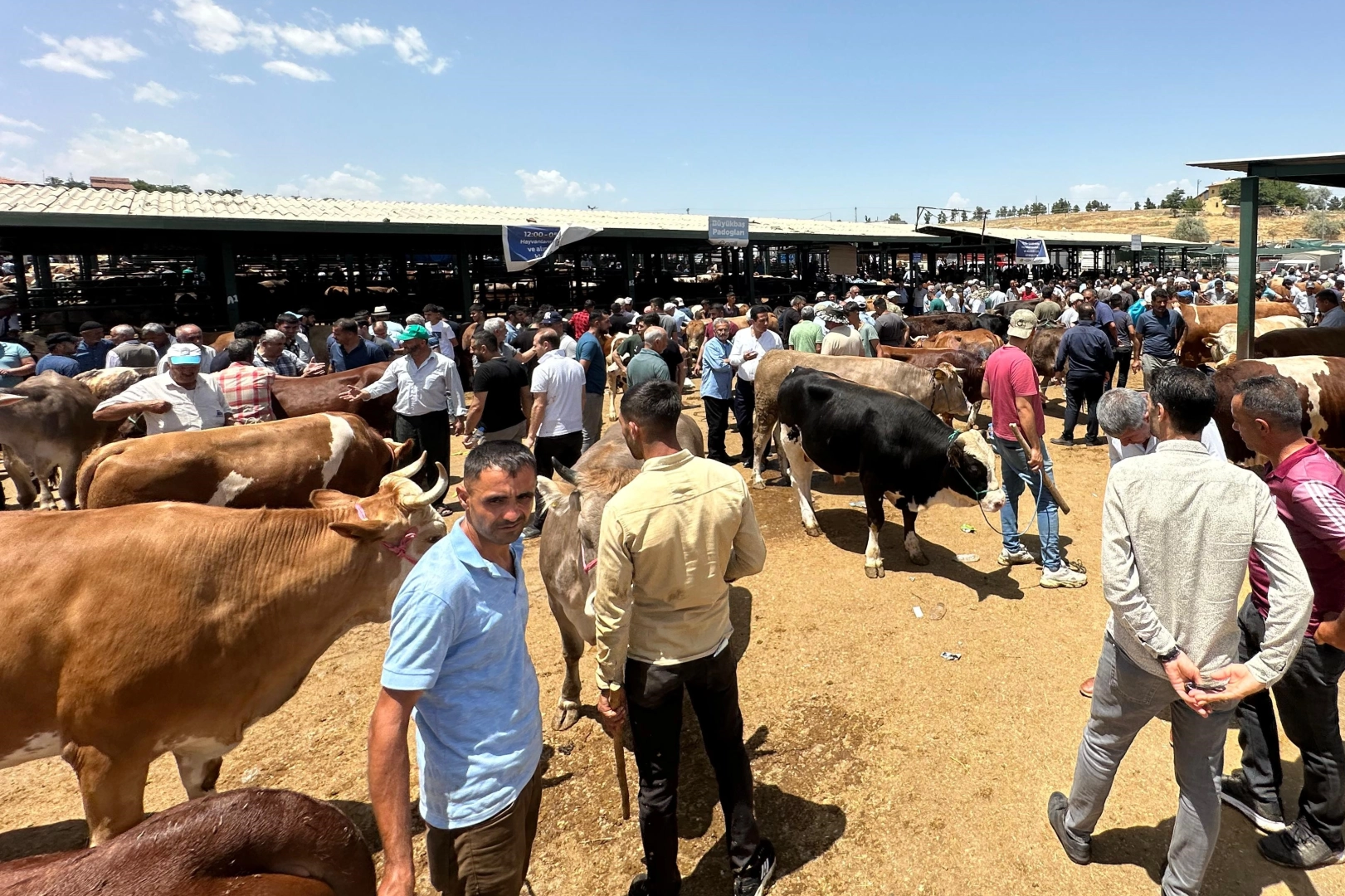 Deprem bölgesinde Kurban Bayramı hareketliliği yaşanıyor