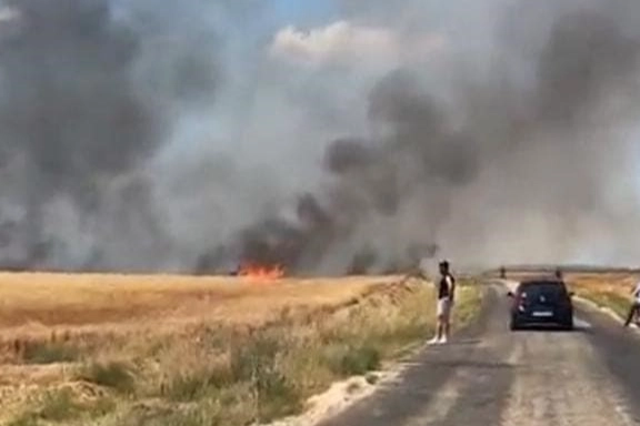 20 bin dönümlük alanda 38 ton buğday kül oldu haberinin görseli
