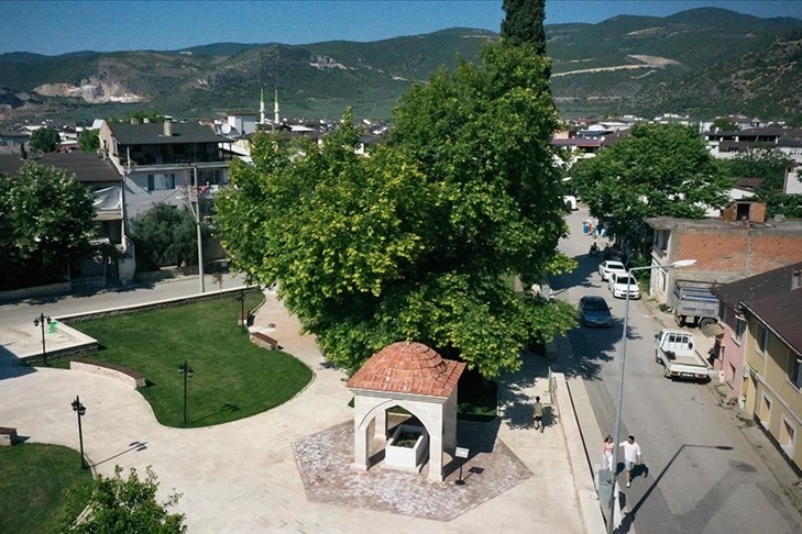 Osmanlı'nın ilk müderrisi Davud-i Kayseri'nin mezar yeri tescillendi