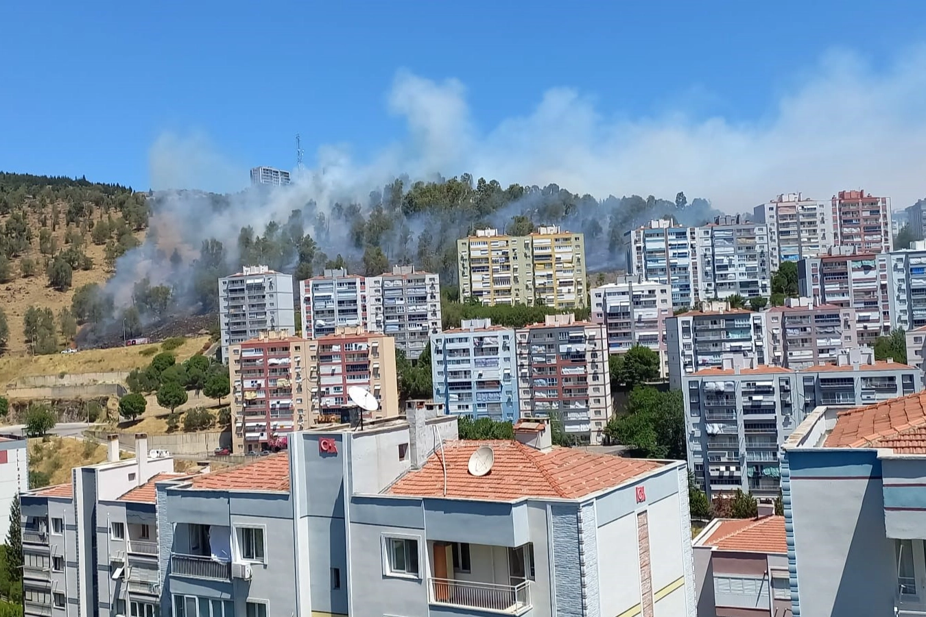 Aliağa’da orman yangını haberinin görseli