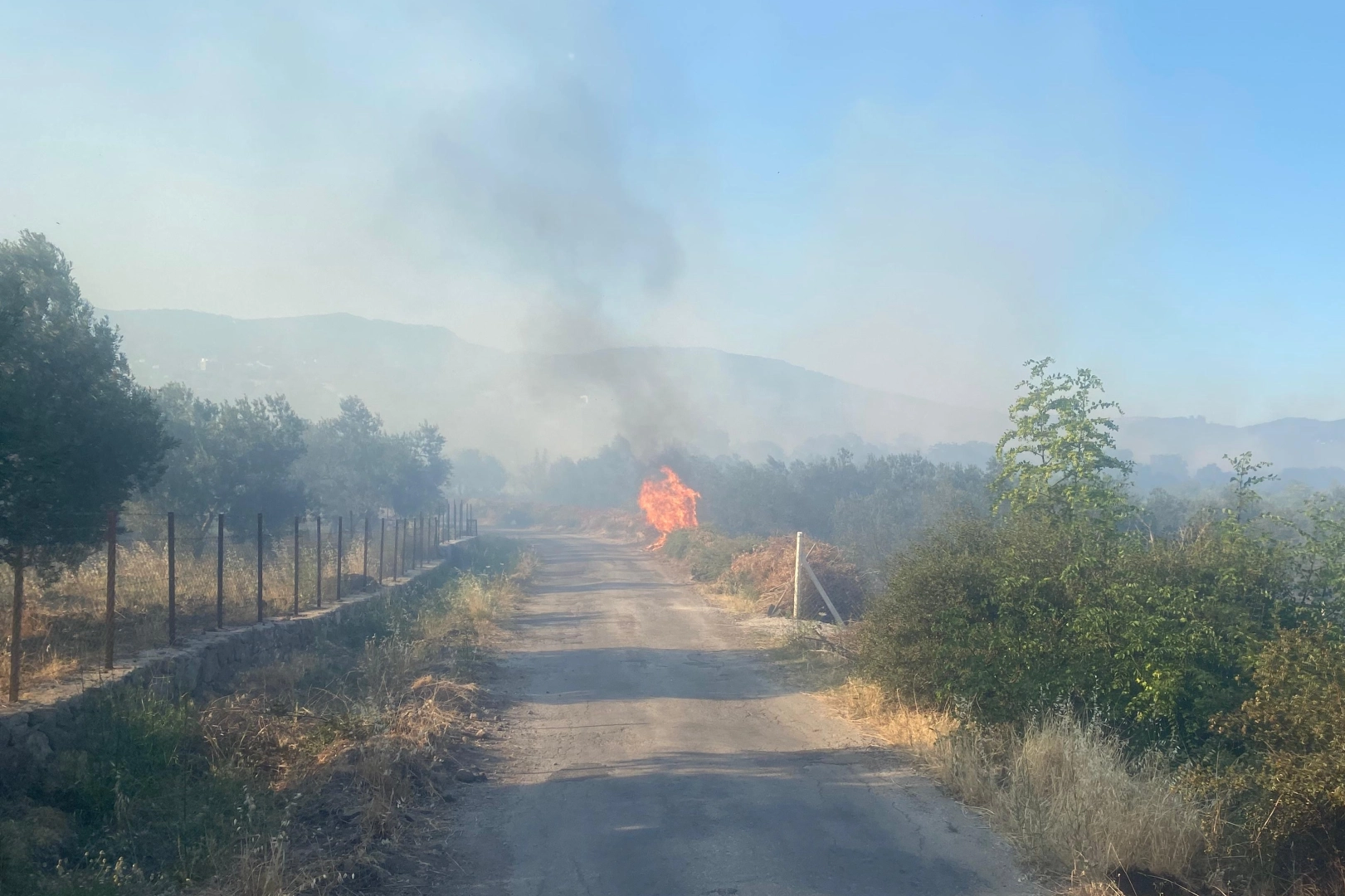 Ayvacık'ta orman yangını haberinin görseli