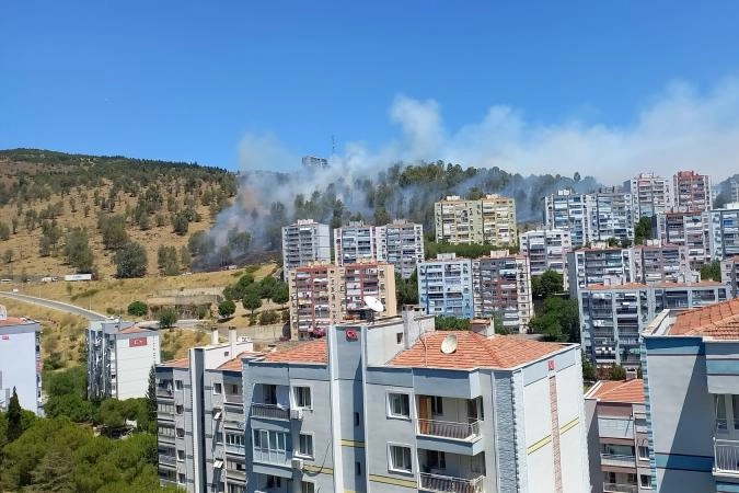 Buca, Bornova, Çiğli ve Dikili'deki yangınlar kontrol altına alındı! haberinin görseli