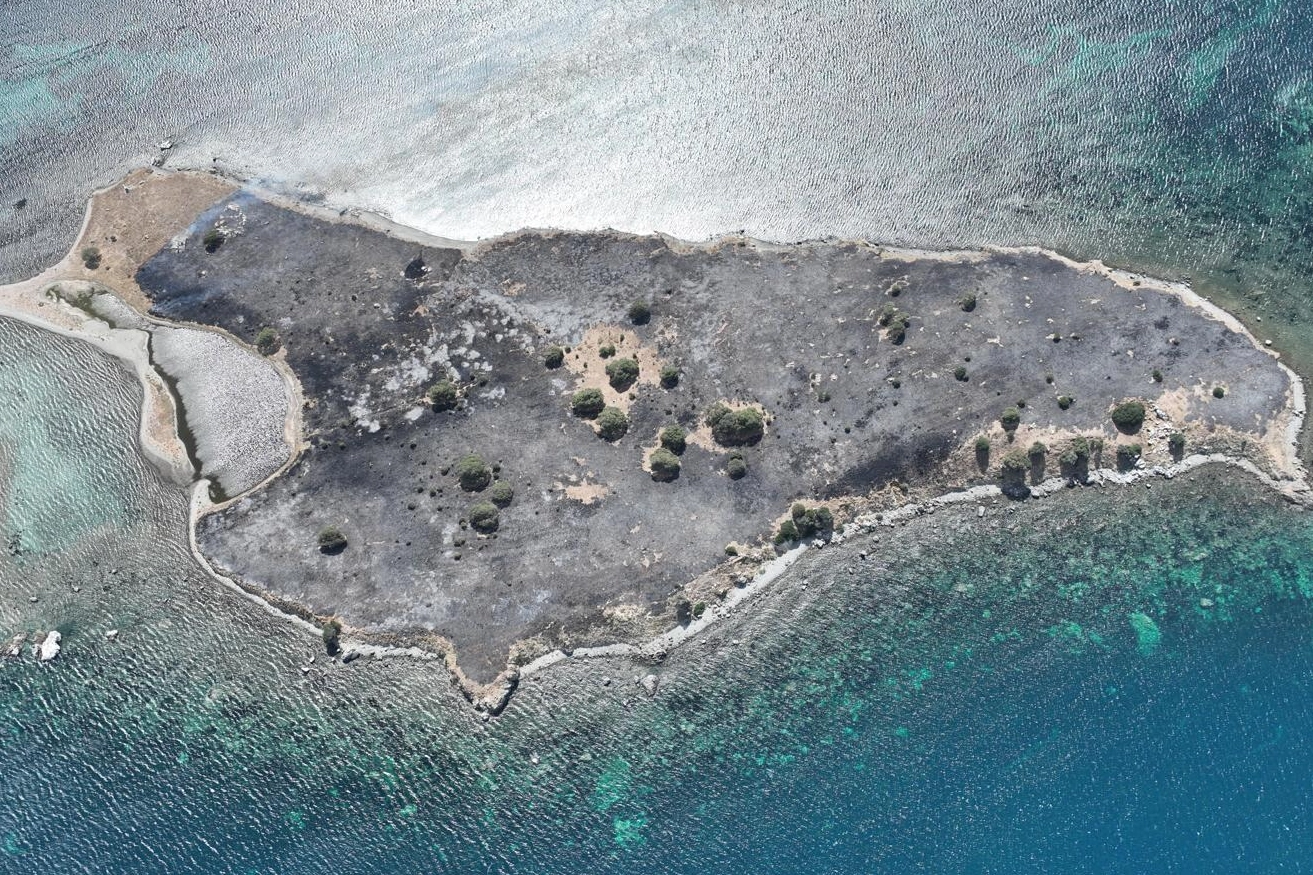 Çiçek Adası'nın hali içler acısı: Küle döndü haberinin görseli