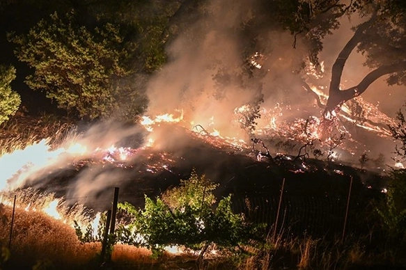 Los Angeles'ta çıkan orman yangınında 1200 kişi tahliye edildi haberinin görseli