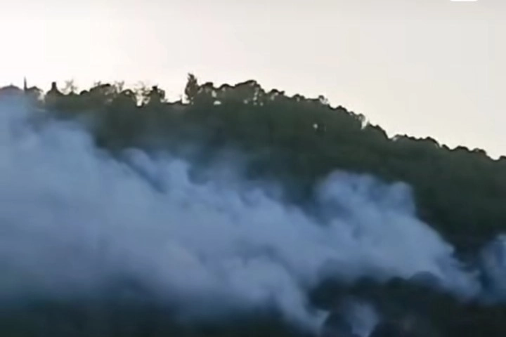 Bayraklı'da ormanlık alanda yangın çıktı! haberinin görseli