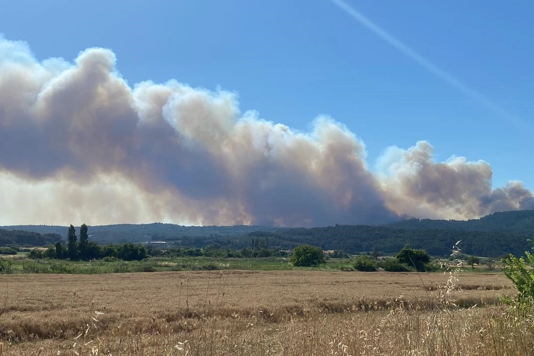 Çanakkale yangınında Anafartalar köyü boşaltıldı haberinin görseli