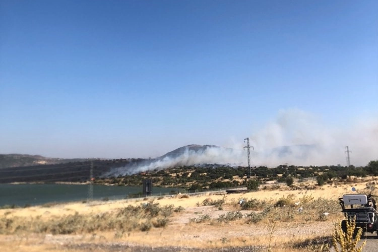 Aliağa'da otluk alanda çıkan yangın söndürüldü haberinin görseli