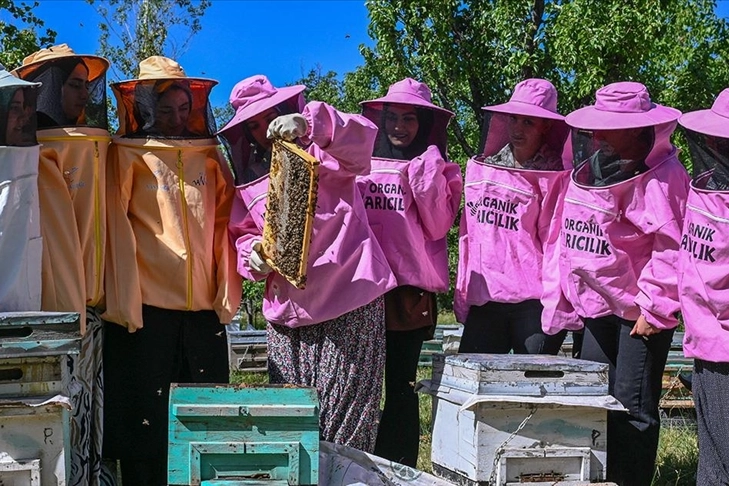 Pembe kıyafetli arıcıların hedefi bal üretiminde söz sahibi olmak haberinin görseli