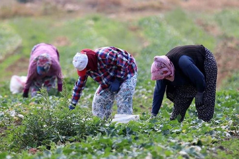 Çiftçiye destek yerine KDV zammı