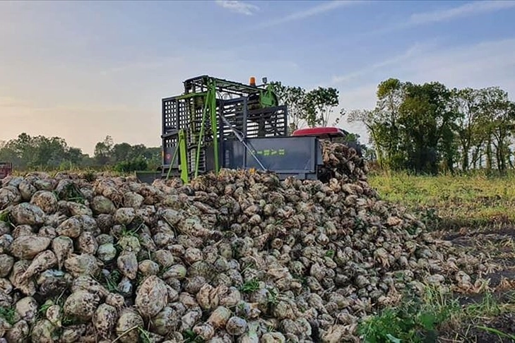 Pancar çiftçisine çapa avans ödemesi yapıldı haberinin görseli