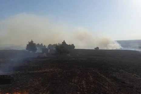 İstanbul’da yangın paniği: Silivri’deki yangın evlere doğru yayıldı