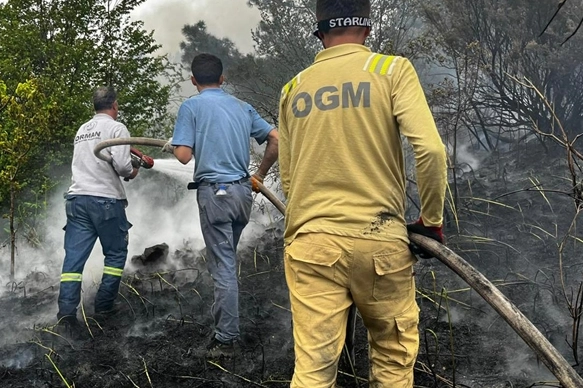 Kastamonu'da ormanlık alanda yangın!