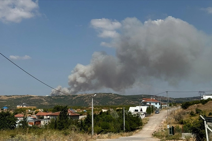 Balıkesir'de ormanlık alanda yangın!