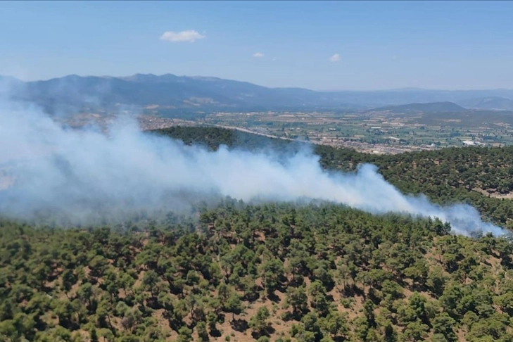 Balıkesir'de orman yangınına müdahale ediliyor haberinin görseli