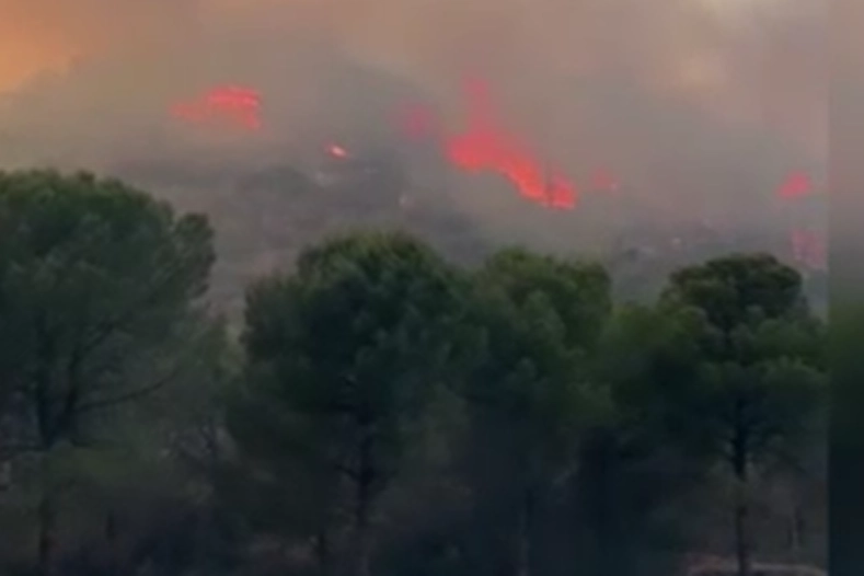 Selçuk'ta çıkan yangına müdahale ediliyor! haberinin görseli