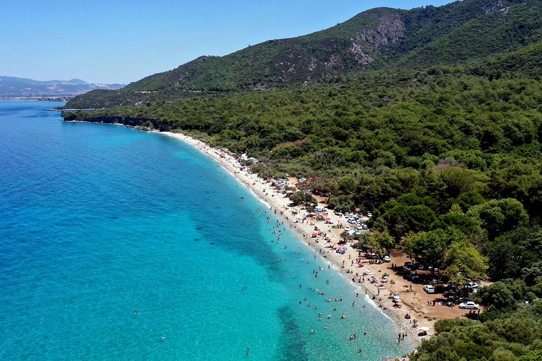 Güzelçamlı Milli Parkı için acil çağrı haberinin görseli