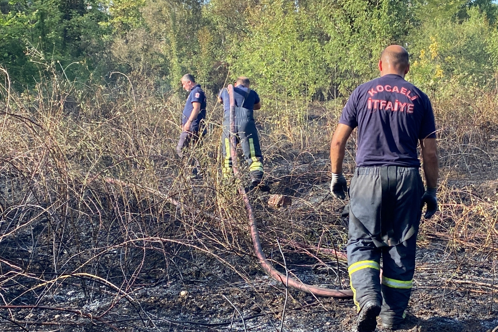 Kocaeli'de ağaçlık alan yandı haberinin görseli