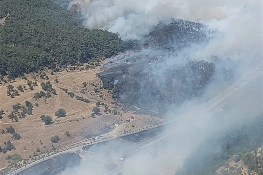 İzmir haber: Bornova'da orman yangını