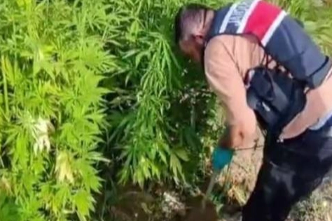 Zehir tacirlerine şok baskın haberinin görseli