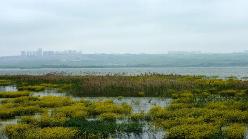 Büyükçekmece Gölü