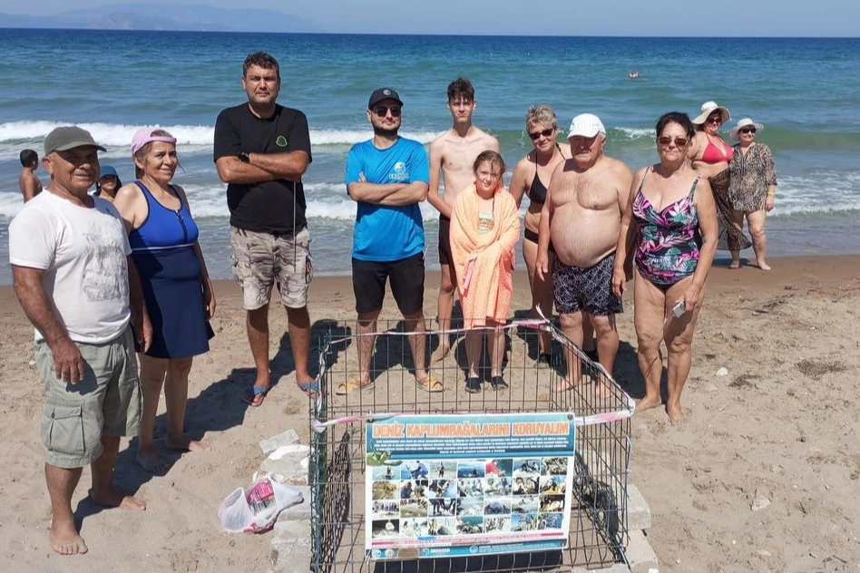Kuşadası'nda caretta caretta sevinci yaşanıyor haberinin görseli