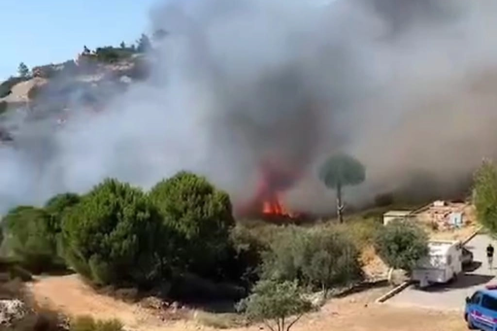 İzmir haber: Foça'da yangın çıktı! haberinin görseli