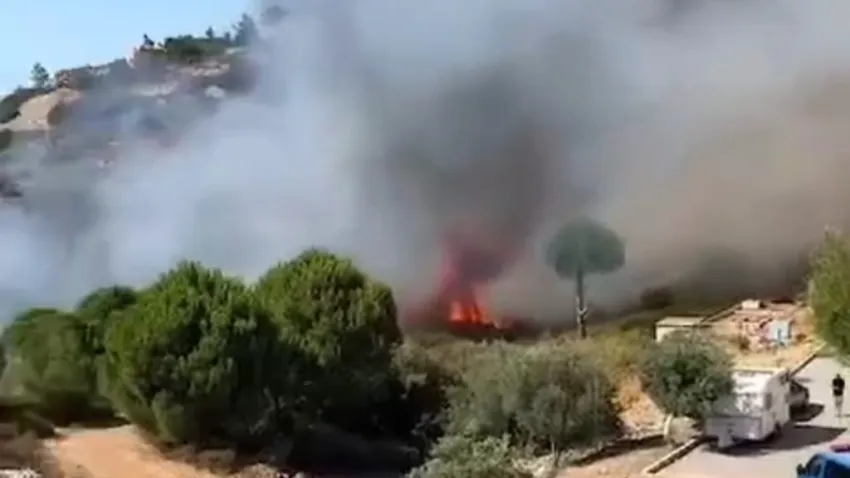 İzmir haber: Foça'da yangın çıktı!
