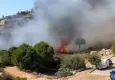 İzmir haber: Foça'da yangın çıktı!