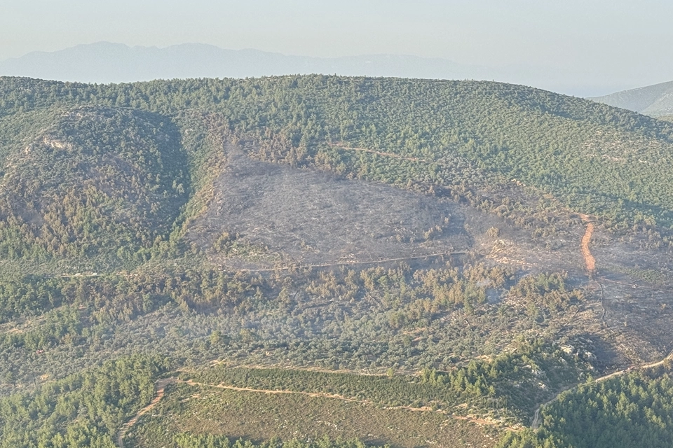 Bodrum'daki orman yangını kontrol altına alındı