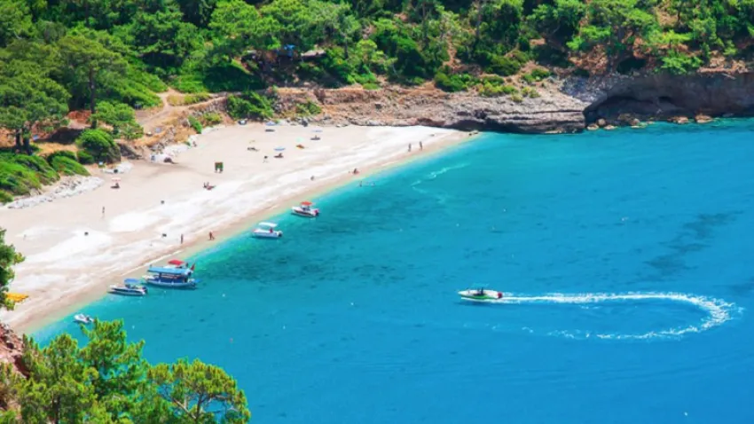 KABAK KOYU